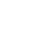 insect