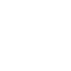 insect