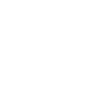 insect